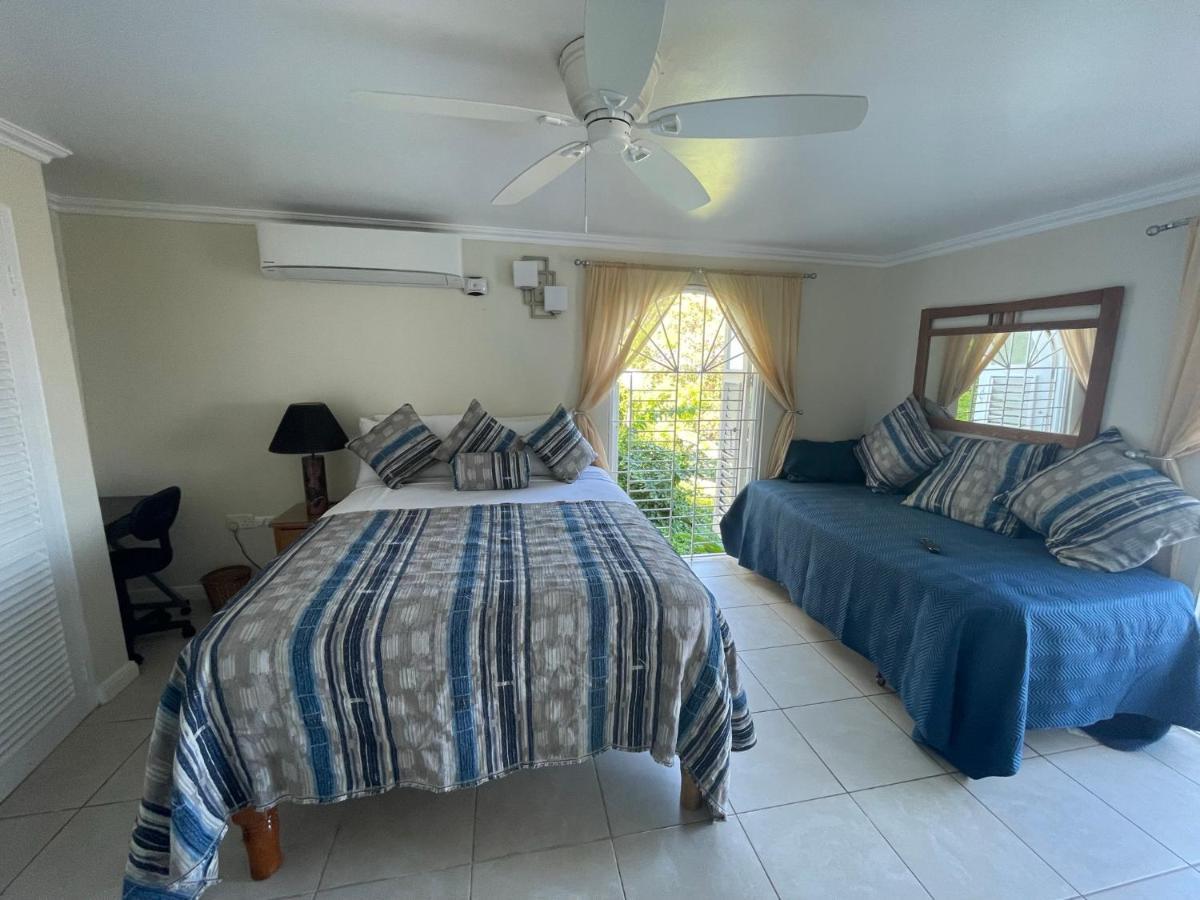 Hummingbird Retreat - Luxury Oceanview Apt, 7-Minute Walk To Beach Ocho Rios Eksteriør bilde