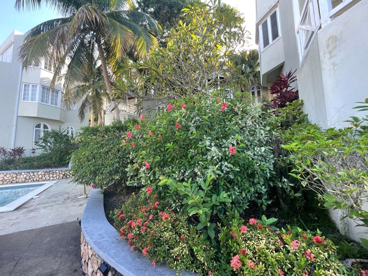 Hummingbird Retreat - Luxury Oceanview Apt, 7-Minute Walk To Beach Ocho Rios Eksteriør bilde