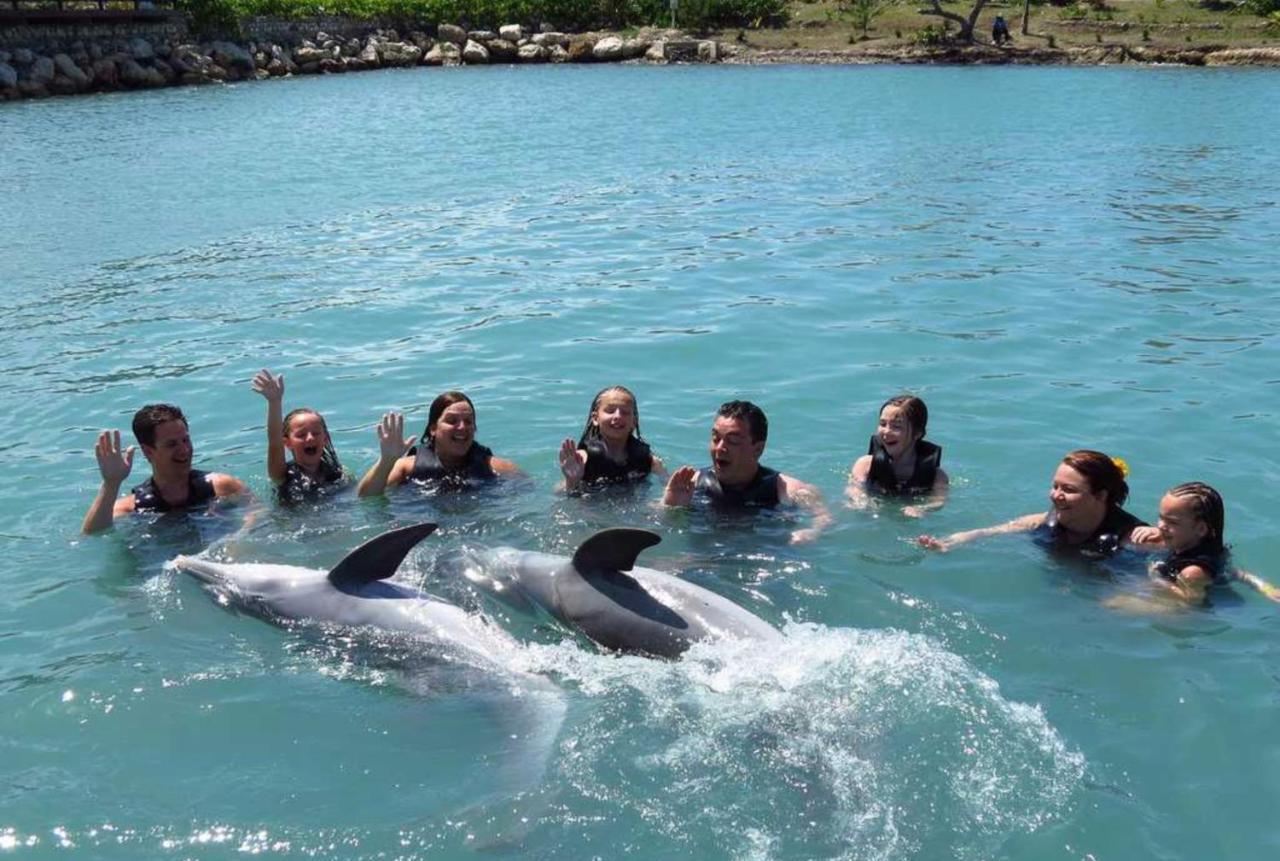Hummingbird Retreat - Luxury Oceanview Apt, 7-Minute Walk To Beach Ocho Rios Eksteriør bilde