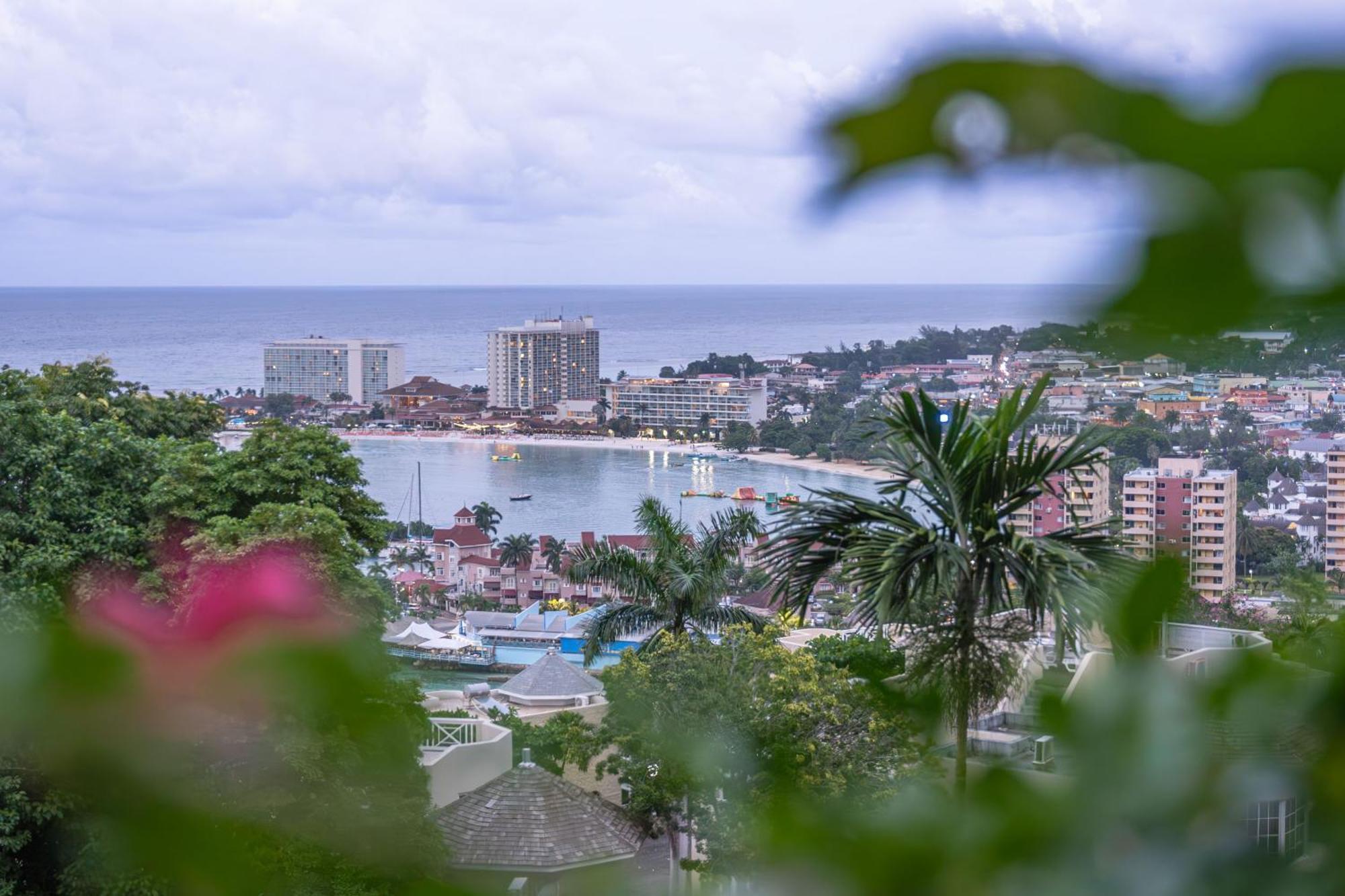Hummingbird Retreat - Luxury Oceanview Apt, 7-Minute Walk To Beach Ocho Rios Eksteriør bilde